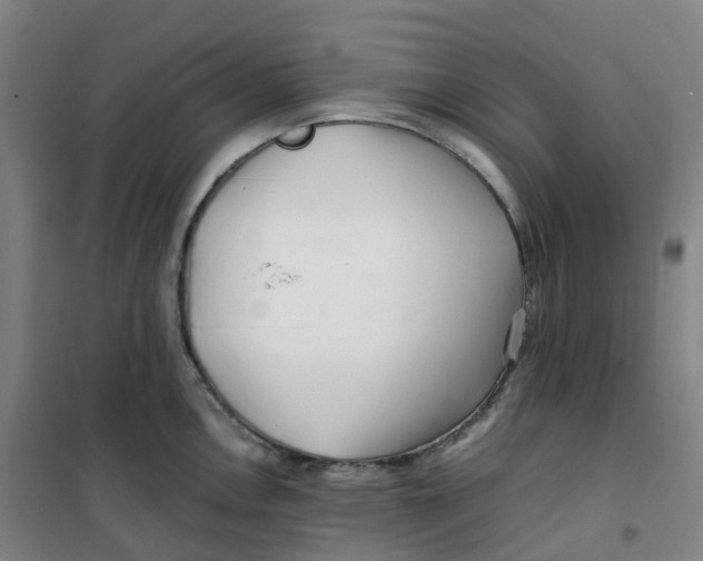 X0000100381146200807031919