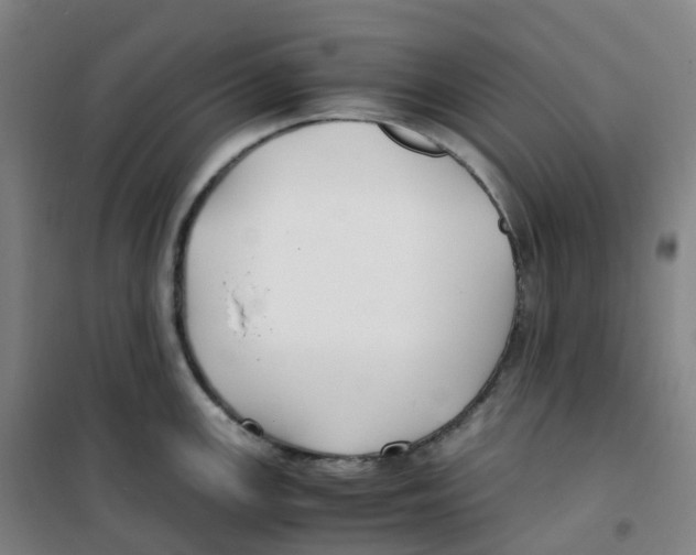 X0000100381147200807031919