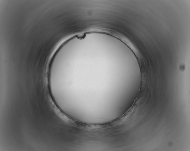 X0000100381148200807031919