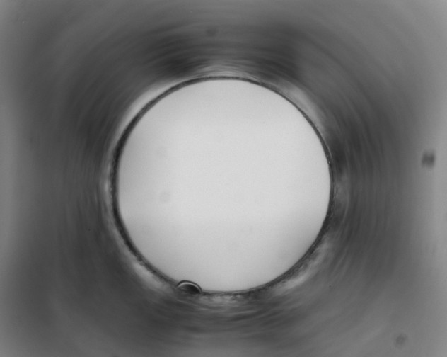 X0000100381149200807031919