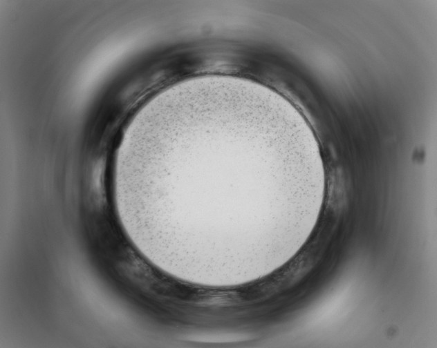 X0000100381150200807031919