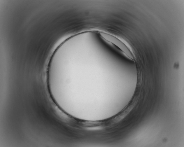 X0000100381151200807031919