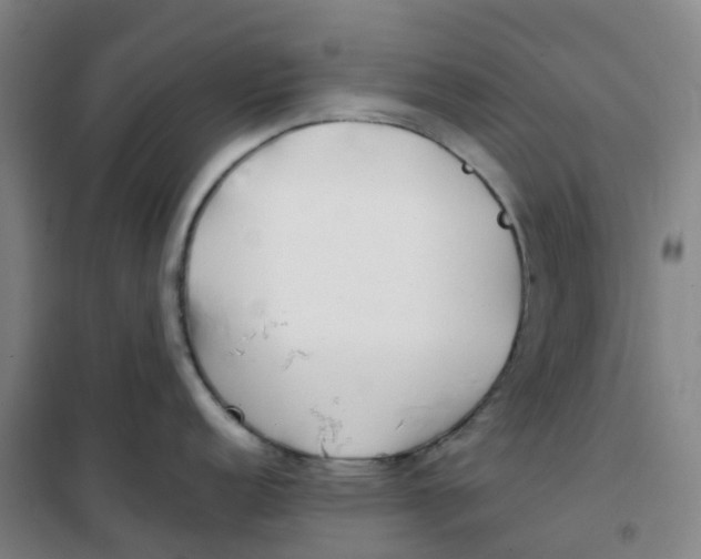 X0000100381152200807031919
