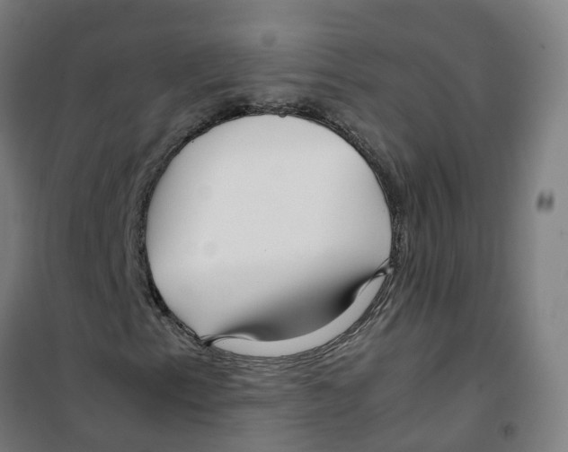 X0000100381153200807031918
