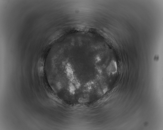 X0000100381154200807031918