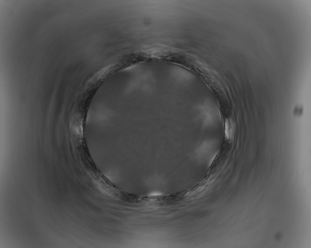X0000100381155200807031918