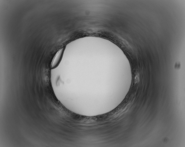 X0000100381156200807031918