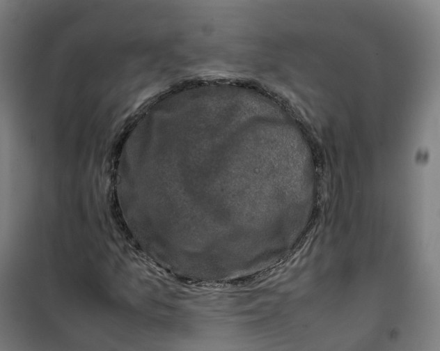 X0000100381157200807031918