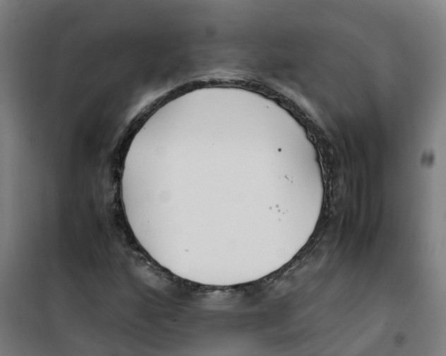 X0000100381160200807031918