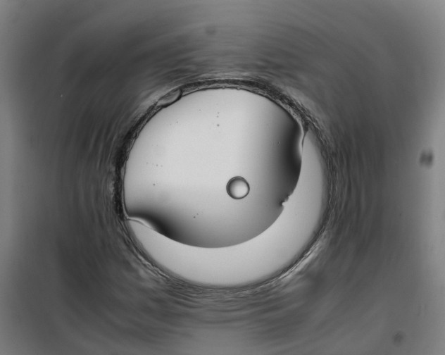 X0000100381161200807031918