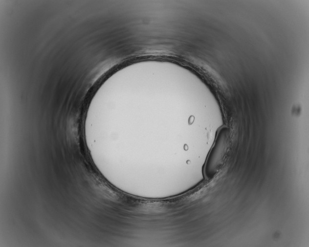 X0000100381162200807031918