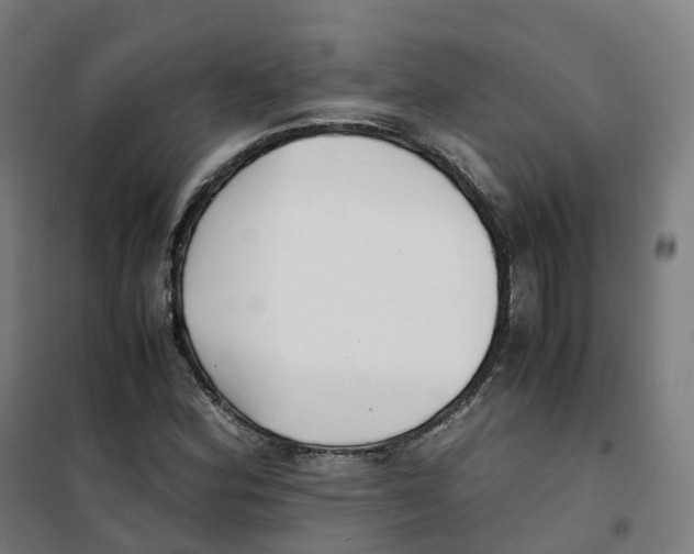 X0000100381164200807031918