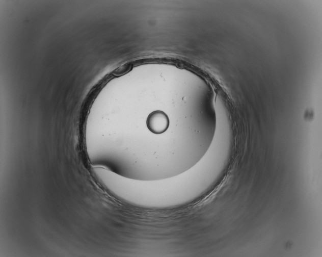 X0000100381165200807031918