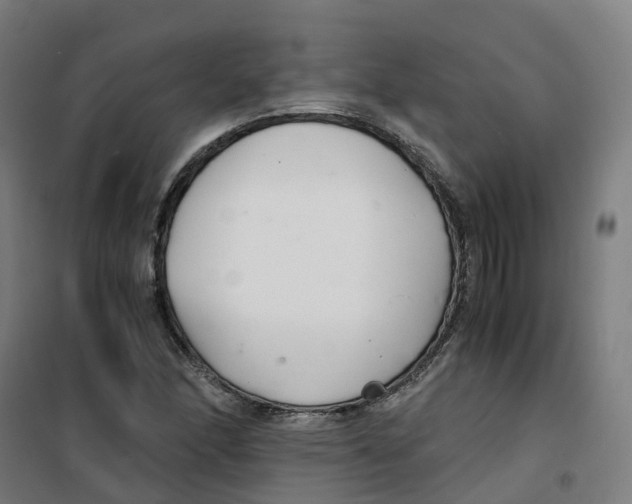 X0000100381166200807031918