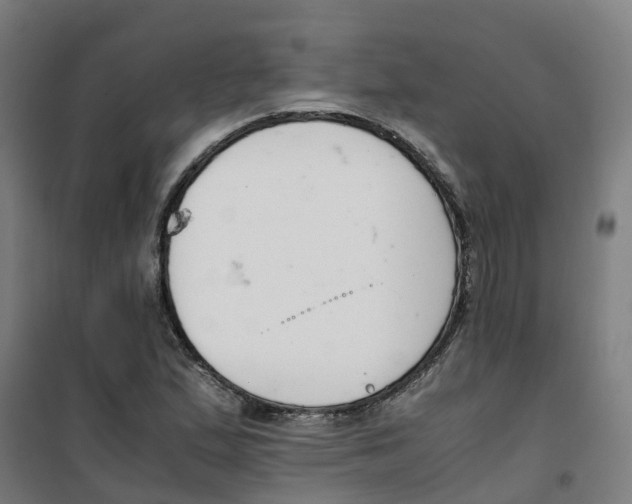 X0000100381167200807031918