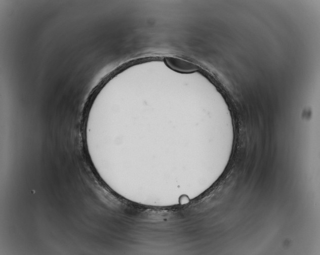 X0000100381168200807031918