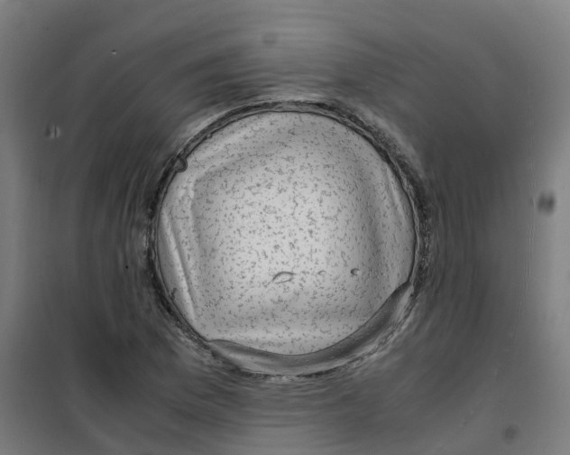 X0000100381169200807031918