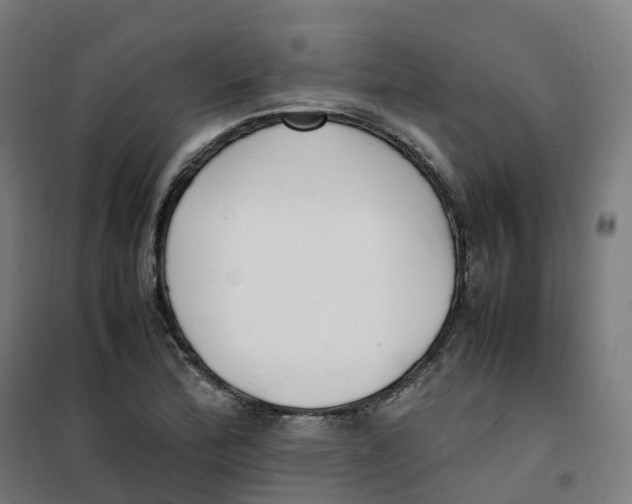 X0000100381172200807031918