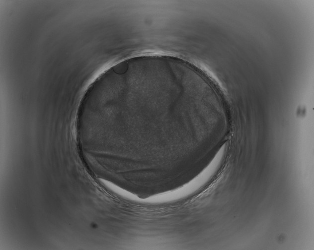 X0000100381173200807031918