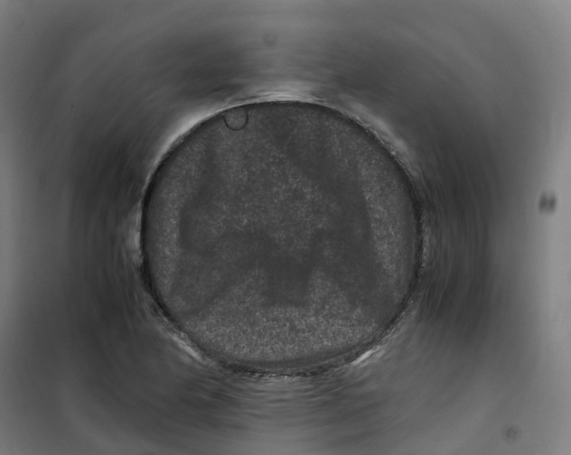 X0000100381174200807031918