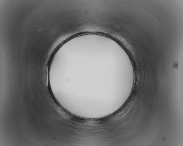 X0000100381175200807031918