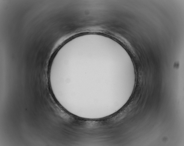 X0000100381176200807031918