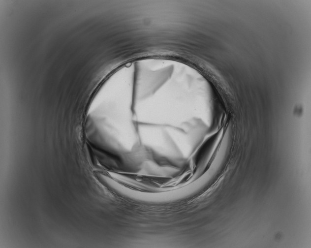 X0000100381177200807031918