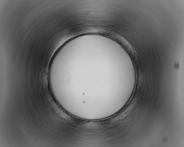 X0000100381178200807031918
