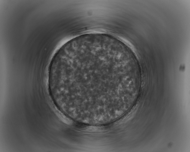 X0000100381179200807031918