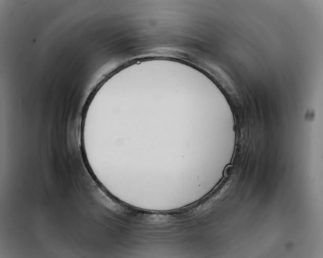 X0000100381180200807031918
