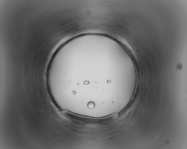 X0000100381181200807031918