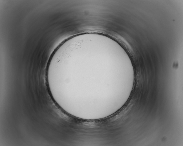 X0000100381182200807031918