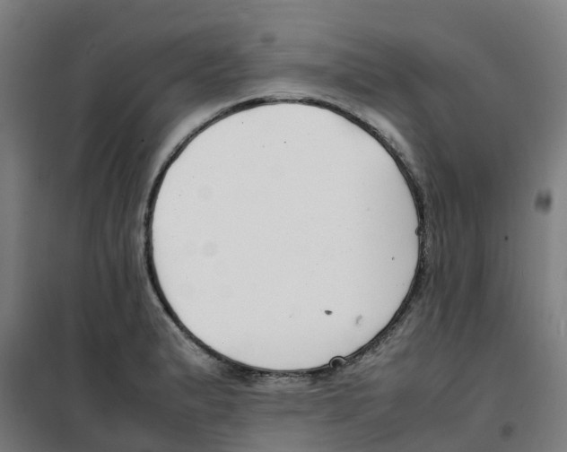 X0000100381183200807031918