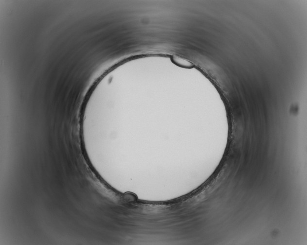 X0000100381184200807031918