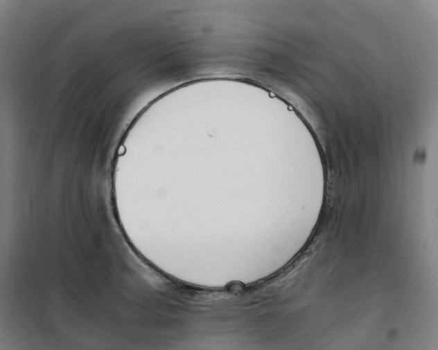 X0000100381187200807031918