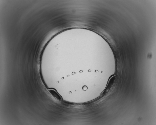 X0000100381188200807031918