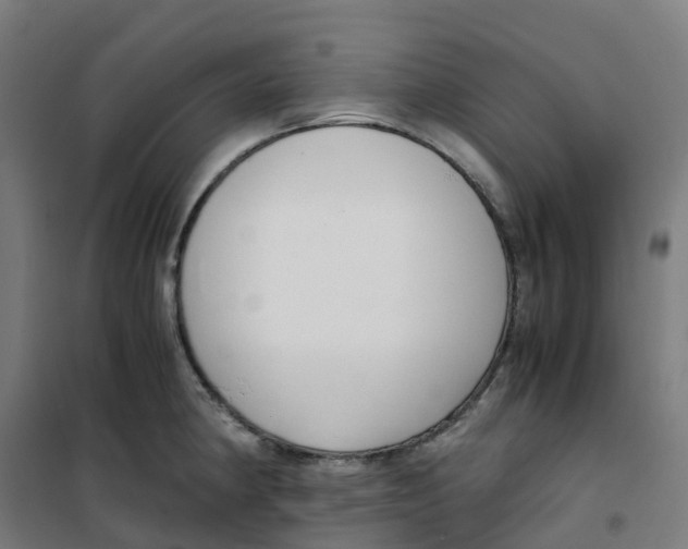 X0000100381190200807031918