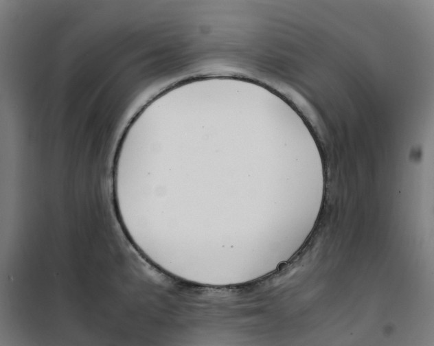 X0000100381191200807031918