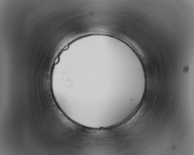X0000100381192200807031918