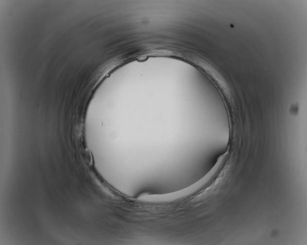 X0000100381193200807031918