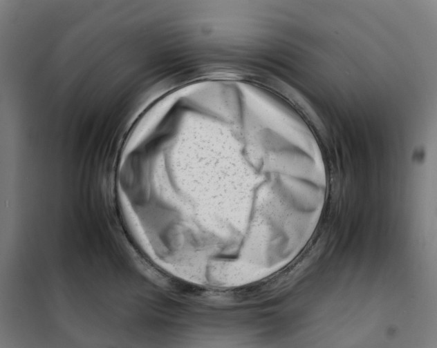 X0000100381194200807031918