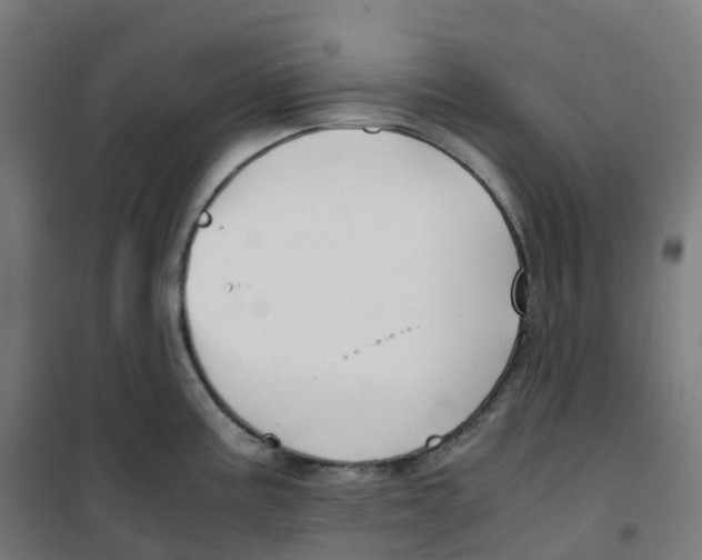 X0000100381195200807031918