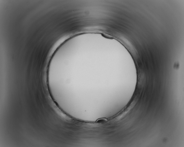 X0000100381196200807031918