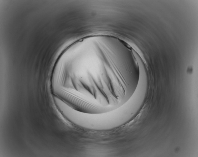 X0000100381197200807031918