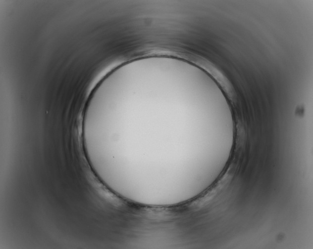 X0000100381198200807031918