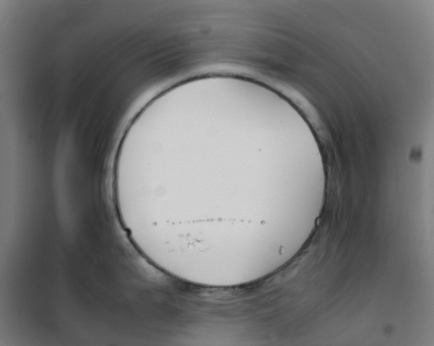 X0000100381199200807031918