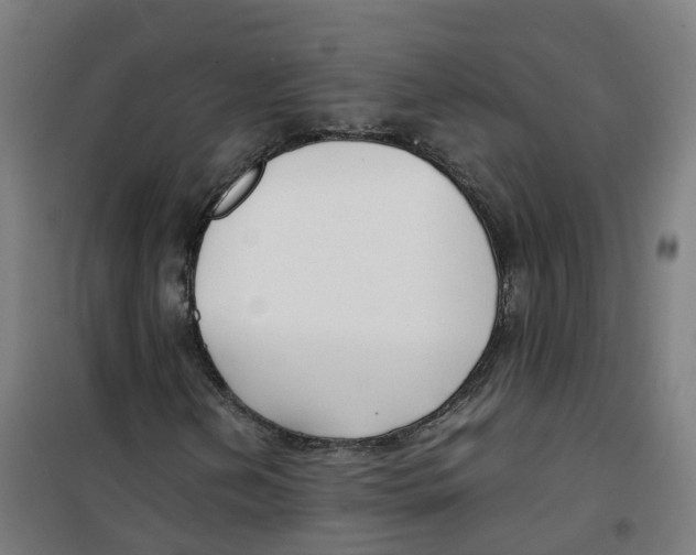 X0000100381202200807031917