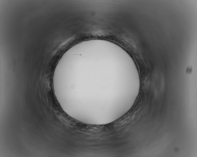 X0000100381205200807031917