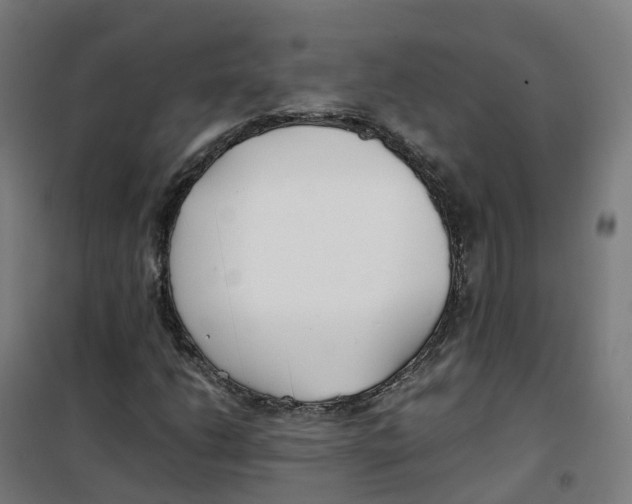 X0000100381206200807031917