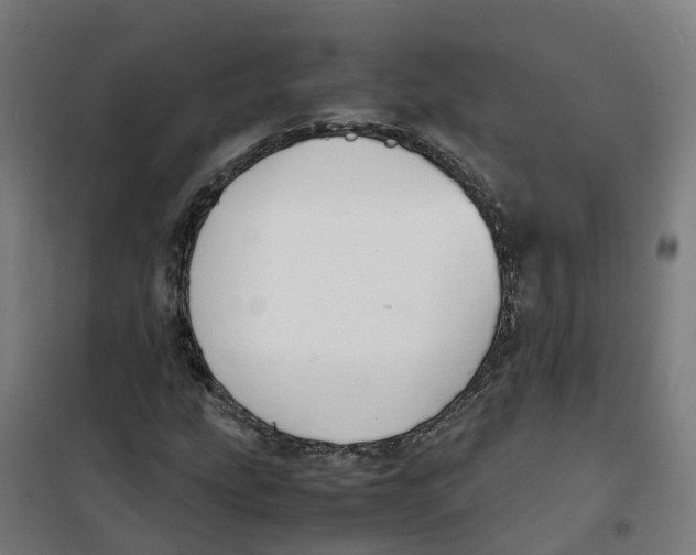 X0000100381207200807031917